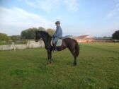 Billede