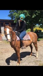 Billede