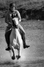 Billede