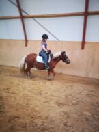Billede