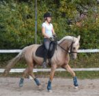 Billede