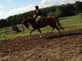 Billede