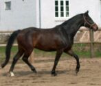 Billede