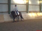 Billede