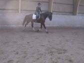 Billede