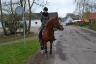 Billede