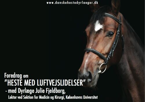 Billede