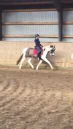 Billede