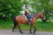 Billede