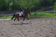 Billede