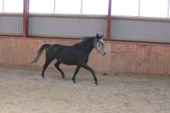 Billede