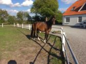 Billede
