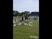 Billede
