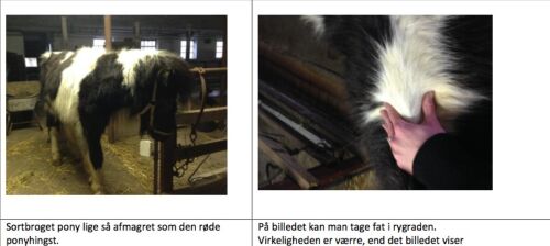 Billede