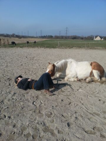 Billede