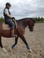Billede