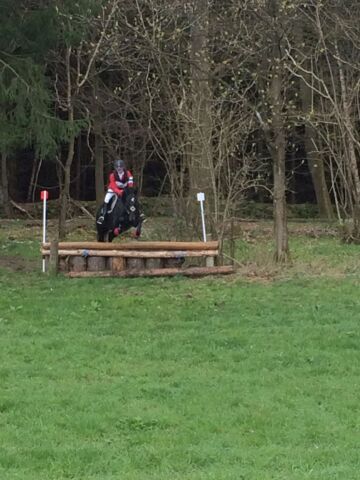 Billede