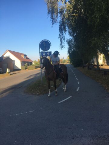 Billede