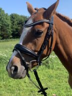 Billede