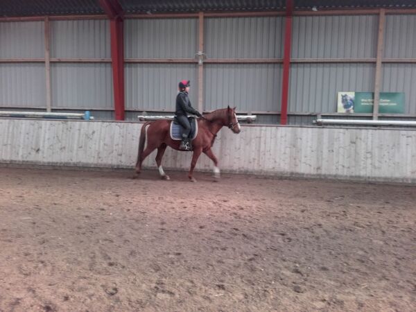Billede