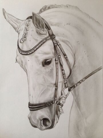 Billede