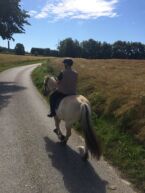 Billede