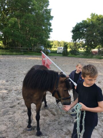 Billede