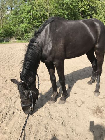 Billede