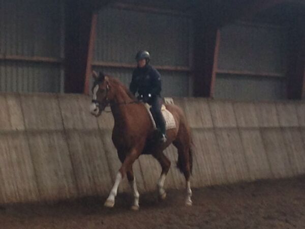 Billede
