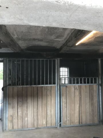 Billede