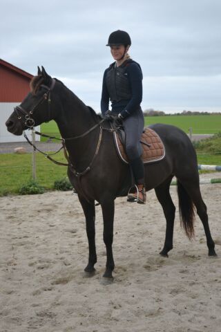 Billede
