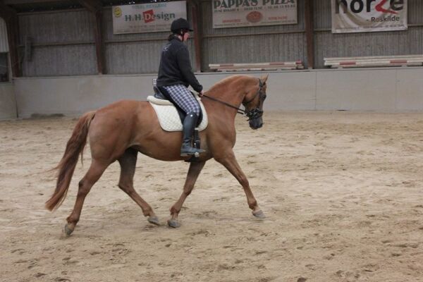 Billede
