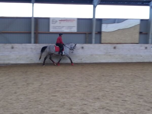 Billede