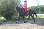 Billede