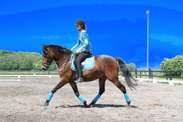 Billede