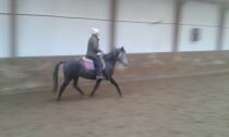 Billede