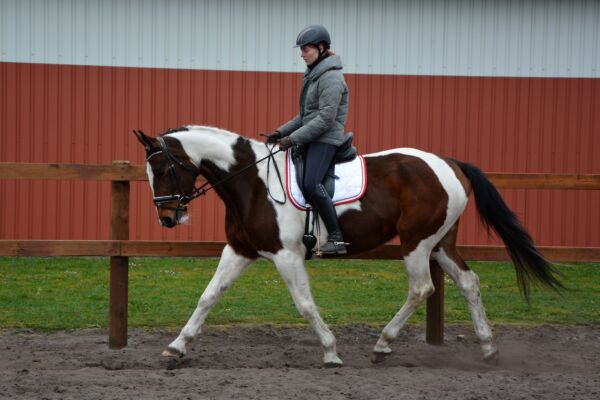 Billede