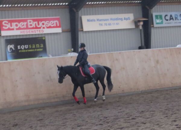 Billede
