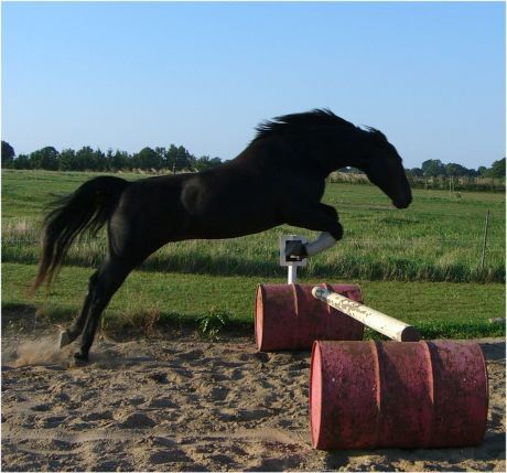 Billede