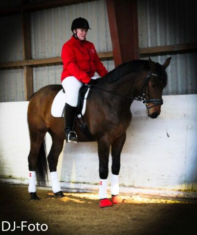 Billede