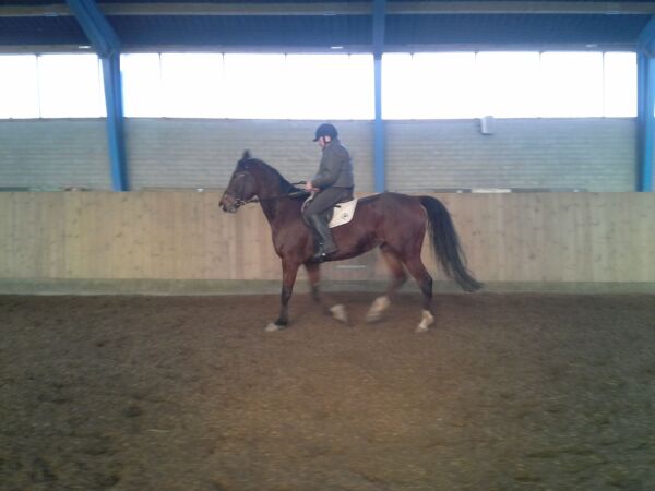 Billede