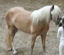Billede
