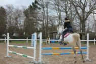 Billede