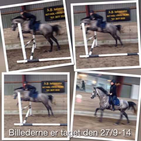 Billede