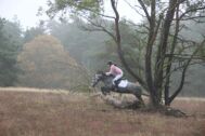 Billede