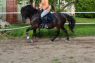 Billede