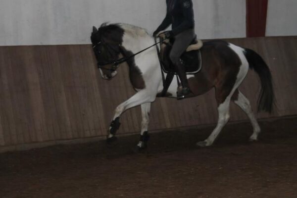 Billede