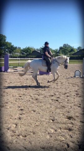 Billede