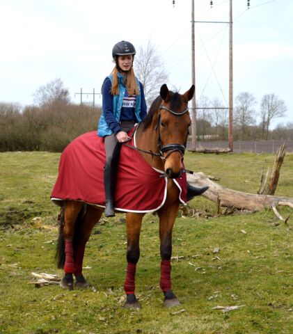Billede