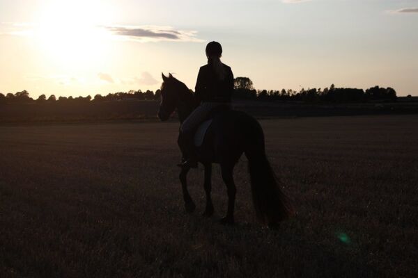 Billede